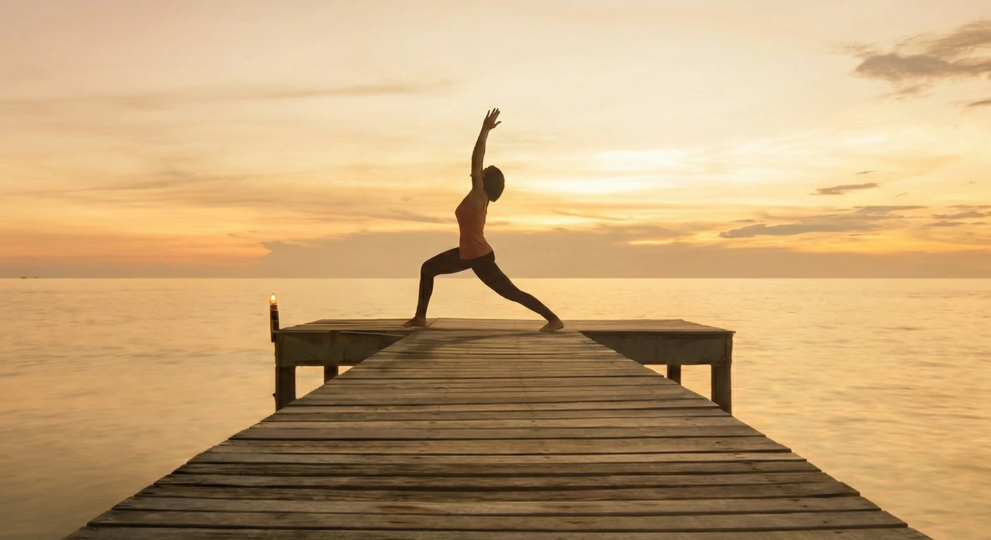 Holistic wellness — pure, satvik ingredients for body and soul